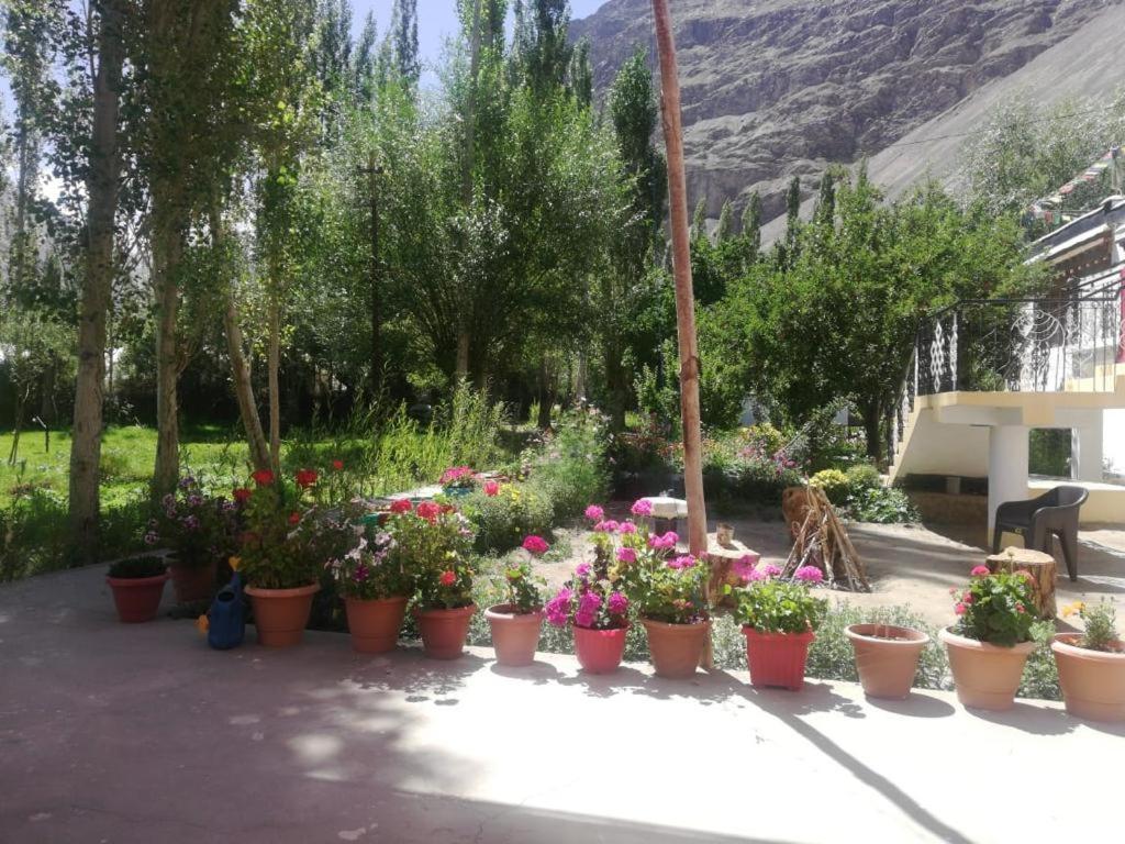Sernang Homestay Hundar Exterior photo